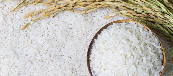 非常食に最適なアルファ化米とは？アルファ化米のご飯のメリットを解説