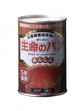 生命のパン　あんしん　ココア　24缶入/箱